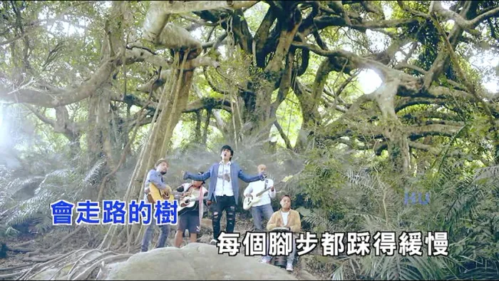 [2017][内地][国语-MV][王宏恩-会走路的树][MPG][210MB][百度网盘]