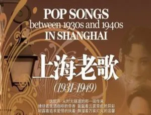 1931 - 1949《上海老歌》20张CD无损音频合集 百度云网盘下载-小文资源网