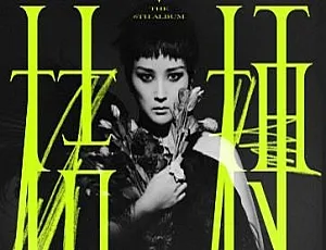 何洁《桔梗》专辑歌曲百度云网盘MP3/FLAC 337.67MB下载-小文资源网