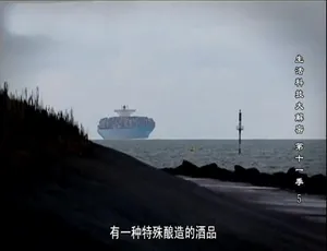 1080P《生活科技大解密》第十一季全20集 英语配音中字 百度网盘资源-小文资源网