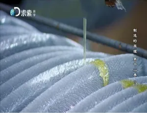 720P《制造的原理/造物小百科》第十二季全12集 英语配音中文字幕 百度网盘-小文资源网