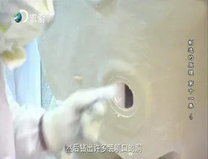 720P《造物小百科》第十一季全12集 英语配音中文字幕 百度网盘资源-小文资源网
