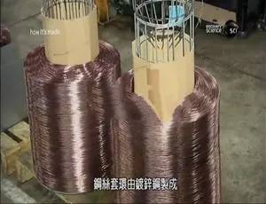 720P 英语中字《造物小百科》第二十六季 12 集 百度网盘资源-小文资源网