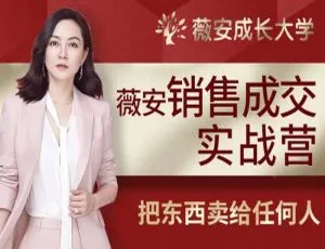 28天打造销售高手！薇安训练营视频音频文档1.53GB百度云下载-小文资源网