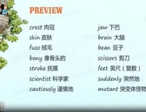 必看！英国早教动画《神奇树屋精读视频课程Magic Tree House》6集国语高清 7.1G 百度云下载-小文资源网