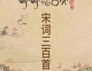 《婷婷唱古文：宋词精选》全10集MP3 16.66M 百度网盘下载 儿童音乐必听-小文资源网