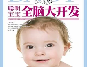0 - 3岁宝宝必听！全脑大开发MP3 53集 81.34M 百度网盘下载-小文资源网