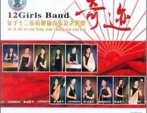 女子十二乐坊香港辉煌奇迹演唱会 DVD 4.34GB 百度网盘资源-小文资源网