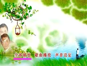 刘德华国语卡拉OK精选DVD音乐专辑 7.74G百度网盘资源-小文资源网