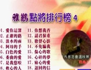 群星雅鹂点将排行榜4 DVD音乐专辑碟：KTV必备，4.19G 百度网盘资源-小文资源网
