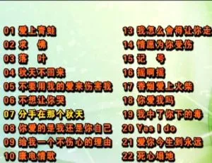 2007 - 2008 群星当红金曲 DVD 音乐专辑碟 4.27G 网盘资源（KTV 适用）-小文资源网
