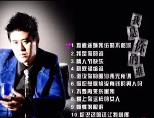 张振宇《我是你的谁》卡拉OK DVD音乐专辑碟2.18G 百度网盘资源-小文资源网