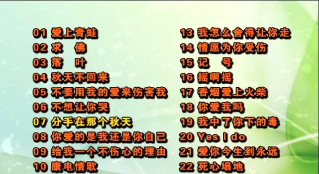 [DVD音乐专辑碟][群星 – 2007-2008当红金曲][KTV][DVDISO][4.27G][百度网盘]