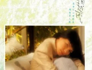 潘越云滚石原装MTV卡拉OK系列12 DVD音乐专辑 3.59G百度网盘资源-小文资源网