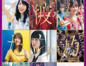 乃木坂46日本演唱会ALL MV COLLECTION 2 2020.09.09 133G百度网盘ISO 4BD资源-小文资源网