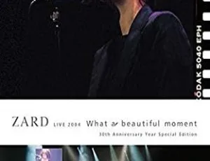 ZARD 2004日本绝美演唱会BDISO资源 31.6G 百度网盘速存-小文资源网