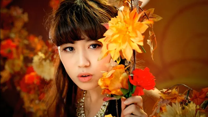 [BD日本演唱会][亚洲第一抒情团体 Flower 2016年精选专辑蓝光PV Flower THIS IS Flower THIS IS BEST 2016][BDMV 双碟][32.3G][百度网盘]