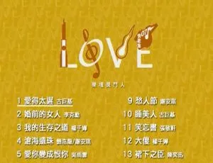 华语群星 Love 07 情歌集：KTV 必备 DVD 音乐专辑 7.11G 百度网盘资源-小文资源网