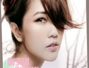 谢安琪《最好的时刻2006 - 2012》DVD音乐专辑碟4.12G 百度网盘资源-小文资源网
