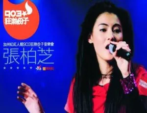 张柏芝陈晓东香港加州红人馆903狂热分子2000演唱会DVD 3.2G 百度网盘资源-小文资源网
