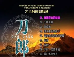 刀郎《身披彩衣的姑娘》KTV 音乐专辑 DVD 3.67G 百度网盘资源-小文资源网