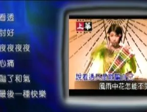 上华经典精彩卡拉OK06群星DVD音乐专辑碟4.07G 百度网盘资源-小文资源网