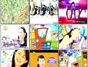 卓依婷《叱咤风云》KTV 音乐专辑 DVD 4.12G 百度网盘资源-小文资源网