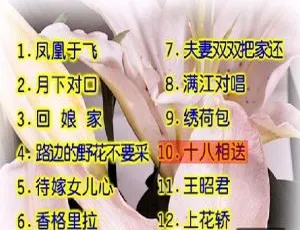 卓依婷柔情小调KTV必备DVD音乐专辑碟 3G百度网盘ISO资源-小文资源网