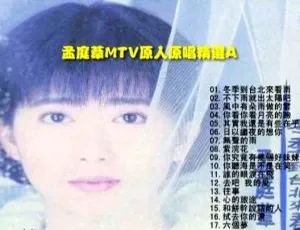 孟庭苇上华KTV音乐专辑DVD碟 2.64G ISO版 百度网盘资源-小文资源网