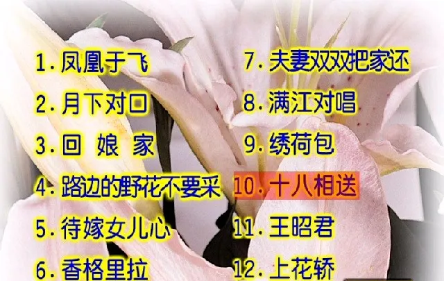 [DVD音乐专辑碟][卓依婷 – 柔情小调][KTV][DVD-ISO][3G][百度网盘]