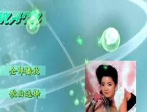 邓丽君纪念精选集D9音乐专辑DVD碟 7.90G 百度网盘资源（KTV适用）-小文资源网