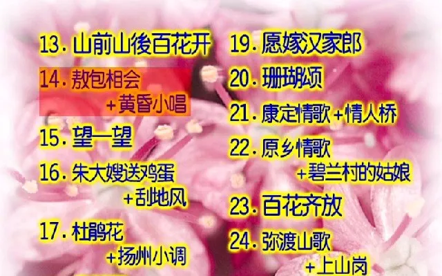 [DVD音乐专辑碟][卓依婷 – 柔情小调][KTV][DVD-ISO][3G][百度网盘]