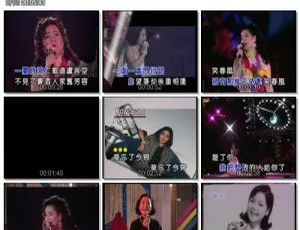 邓丽君难忘典藏精选DVD音乐专辑 4.28G 网盘资源 适合KTV-小文资源网