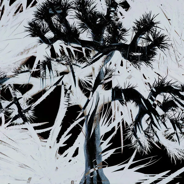 [Plastic Tree – Plastic Tree 2024][24Bit-96kHz][Hi-Res Flac][1.02GB][百度网盘]
