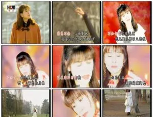 龙千玉《乡愁》KTV 2DVD-ISO 6.68G 音乐专辑碟 百度网盘资源-小文资源网