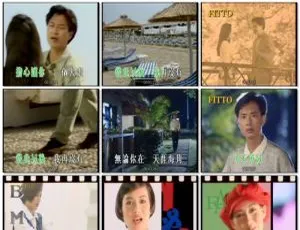 群星《飞图爆棚精选21》KTV必备DVD音乐专辑 2碟6.33G+6.46G 百度网盘资源-小文资源网