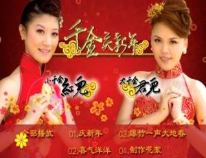 四千金《千金庆新年》KTV 音乐 DVD 专辑 899.25MB 百度网盘资源-小文资源网