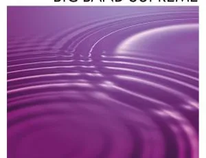 角田健一ビッグバンド BIG BAND SUPREME 2024 高音质资源 980MB 百度网盘 24Bit - 96kHz Hi - Res Flac-小文资源网