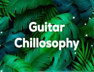 2023 超赞 Chillhop Guitar - Guitar Chillosophy 高音质（24Bit-44.1kHz）Hi-Res Flac 632MB 百度网盘资源-小文资源网
