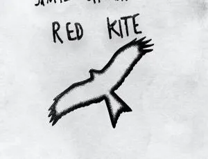 Jamil Sheriff - Red Kite 2024 24Bit-44.1kHz Hi-Res Flac 772MB 百度网盘资源