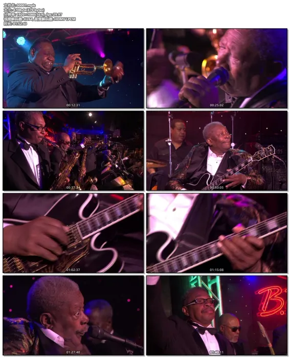 [BD欧美演唱会]B.B. King – Live 2006[BDMV][20.3G][百度网盘]