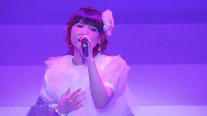 [BD日本演唱会][南条爱乃 Yoshino Nanjo Live Tour 2017 ＜・R・i・n・g・＞][BDMV][37.9G][百度网盘]
