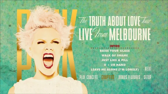 [BD欧美演唱会][Pink 2013年墨尔本现场演唱会 Pink The Truth About Love Tour 2013][ISO 41.6G][百度网盘]