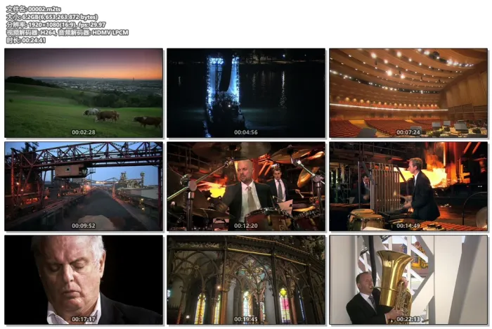 [BD欧美演唱会]Novogodnij Kontsert Venskogo Philarmonicheskogo Orkestra 2009[BDMV][9.5G][百度网盘]