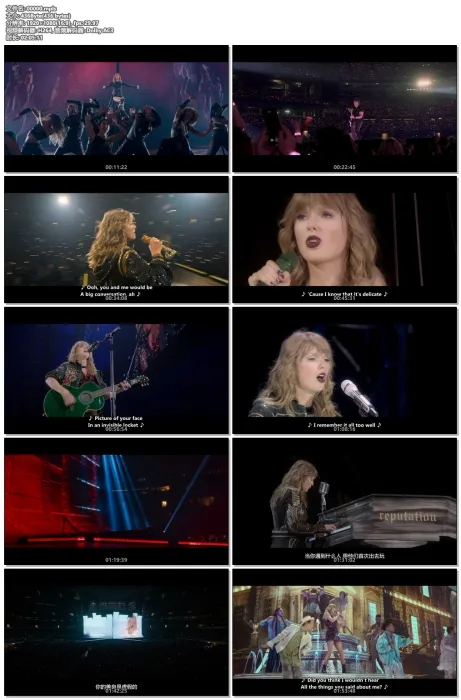 [BD欧美演唱会]泰勒.斯威夫特 举世盛名 Taylor Swift Reputation 巡回演唱会[BDMV][14.2G][百度网盘]