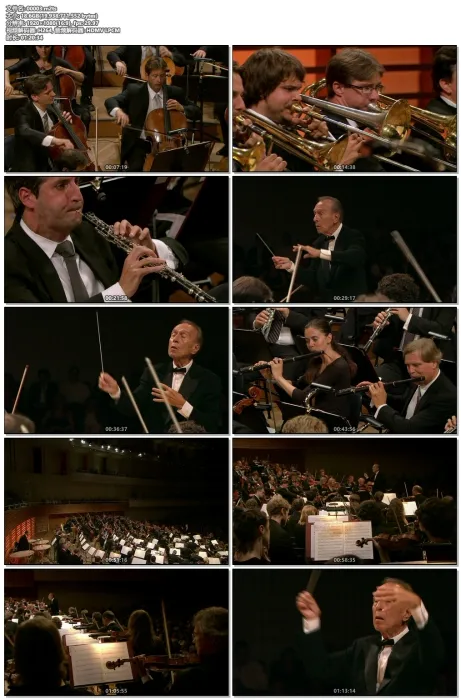 [BD欧美演唱会]阿巴多 布鲁克纳 第五交响曲Bruckner：Symphony no.5 – Abbado 2012[M2TS][21.1G][百度网盘]