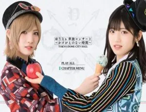 AKB48 十五周年东京巨蛋庆典演唱会BD日本版 4碟131.75G 百度网盘资源-小文资源网