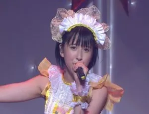 BD日本演唱会Momokuro Aki no Nidai Matsuri 2012双BD ISO 89.9G 百度网盘资源-小文资源网