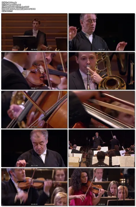 [BD欧美演唱会]肖斯塔科维奇-交响曲和协奏曲全集 Shostakovich Complete Symphonies & Concertos Mariinsky Orchestra, Valery Gergiev 2015[BDMV 4碟][170.58G][百度网盘]