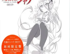 BD 日本演唱会：《灼眼的夏娜》动漫最佳专辑 2CD + 1BD 7.97G 百度网盘资源-小文资源网